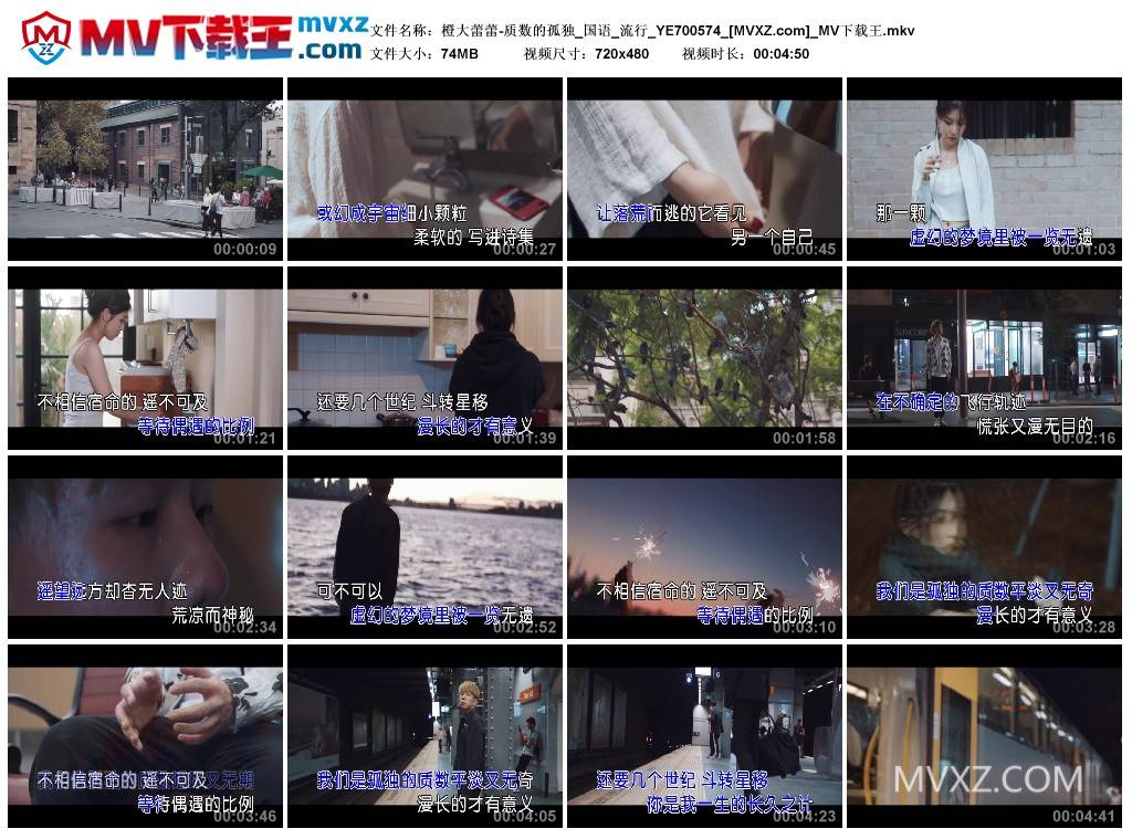 橙大蕾蕾-质数的孤独_国语_流行_YE700574